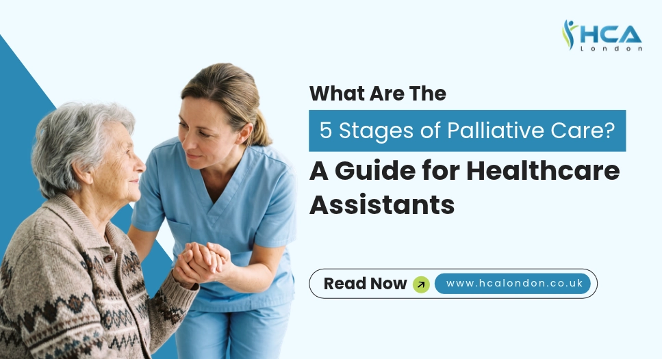 What are the 5 Stages of Palliative Care? A Guide for Healthcare Assistants 